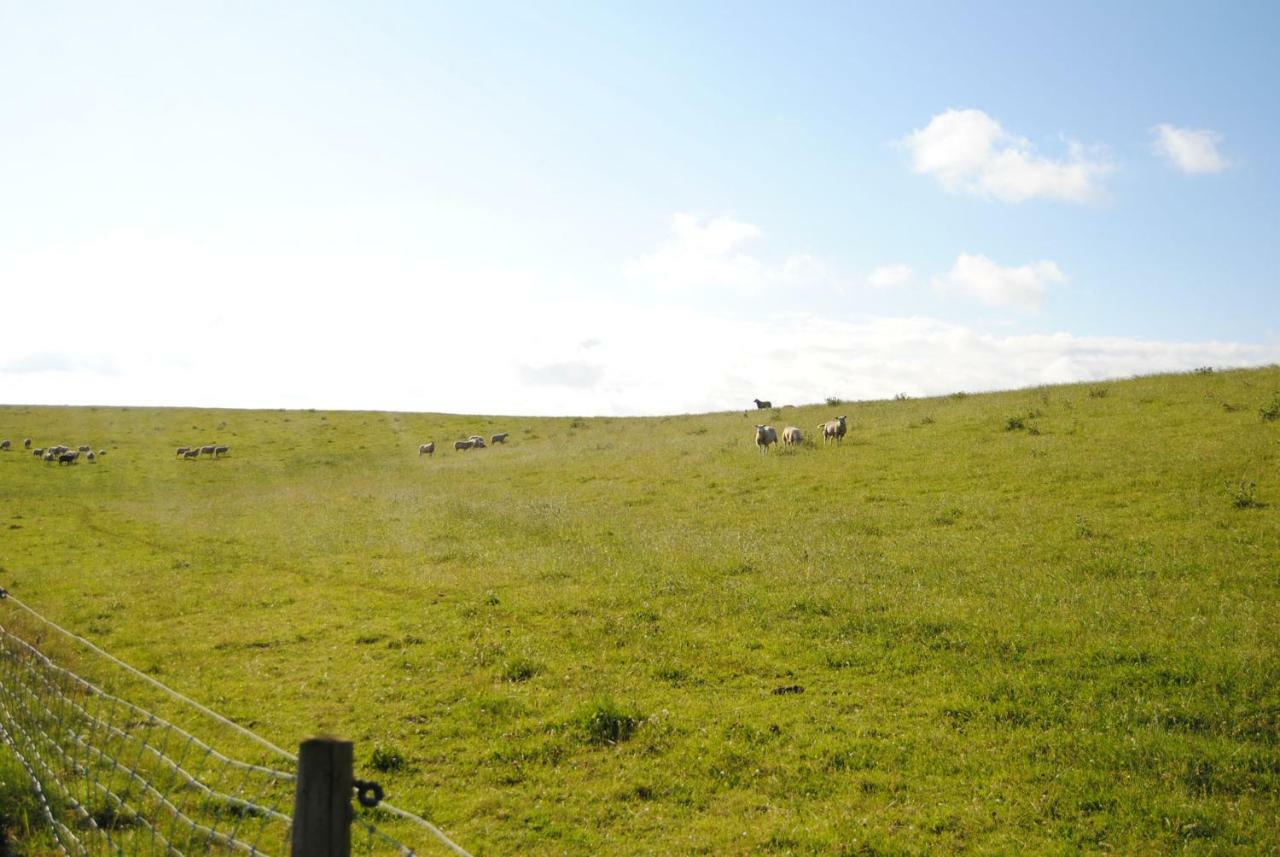 Annemaries Nordseehaus Butjadingen Buitenkant foto