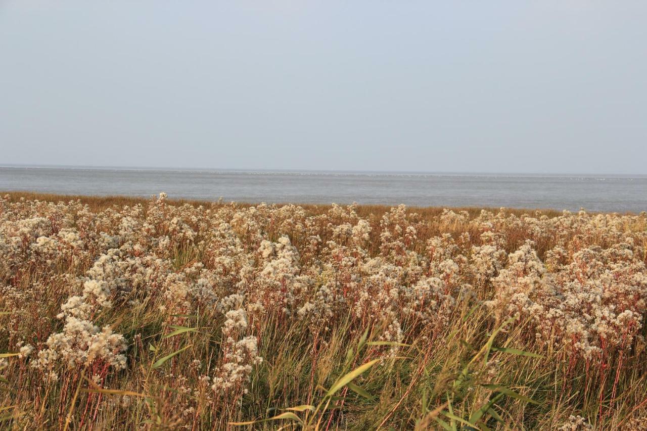 Annemaries Nordseehaus Butjadingen Buitenkant foto